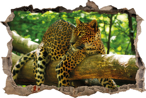 Leopard auf Ast  3D Wandtattoo Wanddurchbruch
