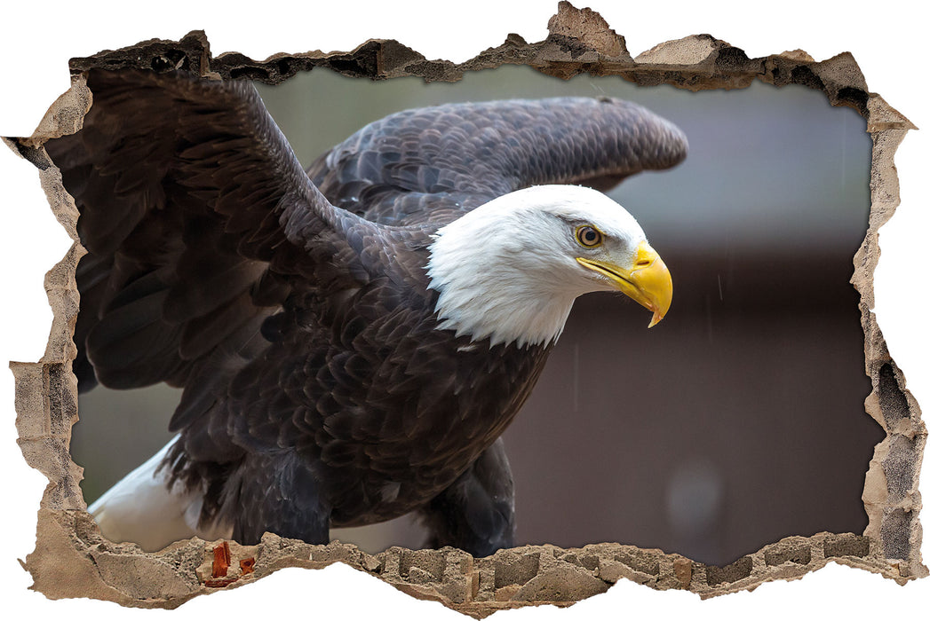 Pixxprint Adler, 3D Wandtattoo