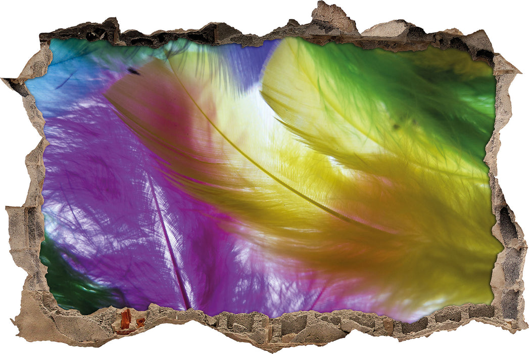 Pixxprint Bunte Federn, 3D Wandtattoo