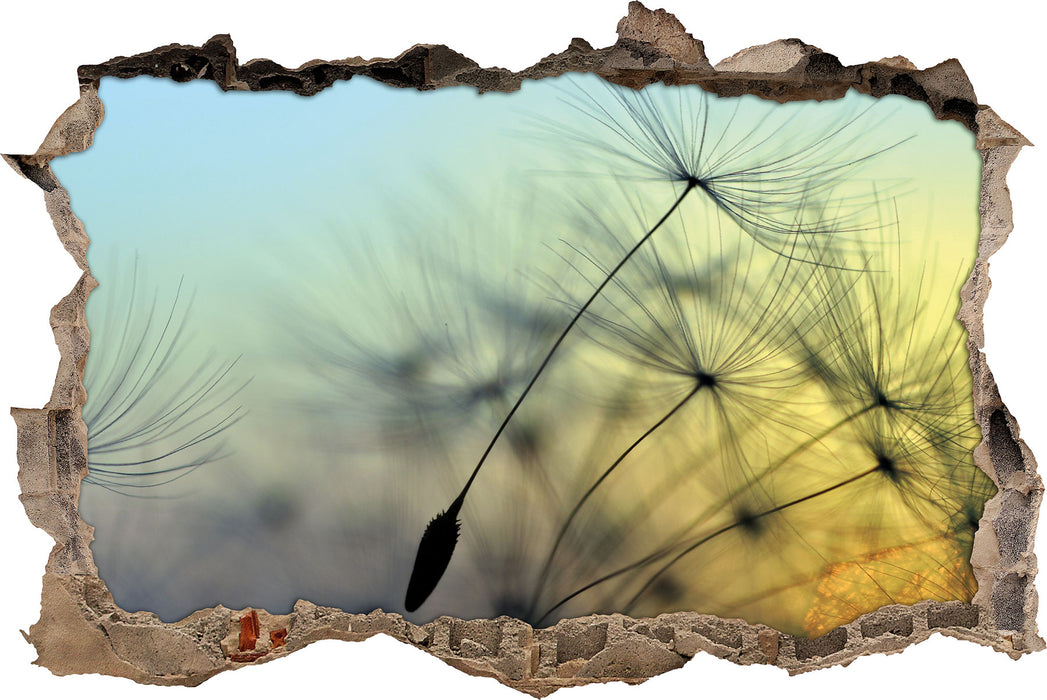 Pixxprint Pusteblumen mit Tautropfen, 3D Wandtattoo