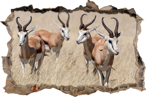 Antilopen in Savanne Afrika  3D Wandtattoo Wanddurchbruch