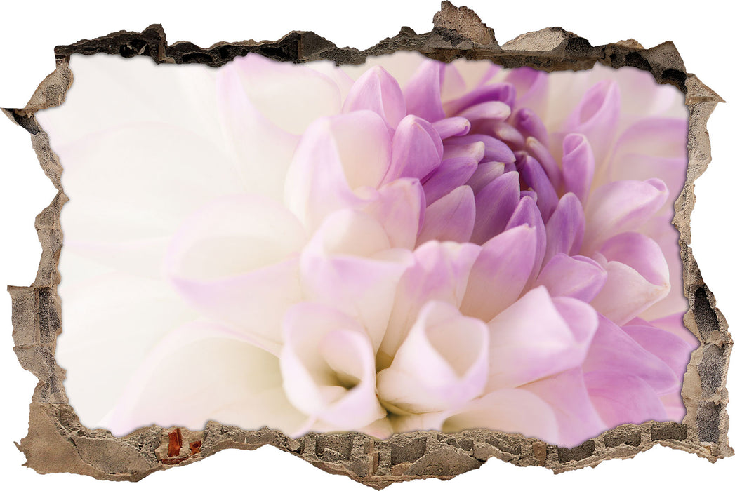 Traumhafte lila weiße Blüte 3D Wandtattoo Wanddurchbruch