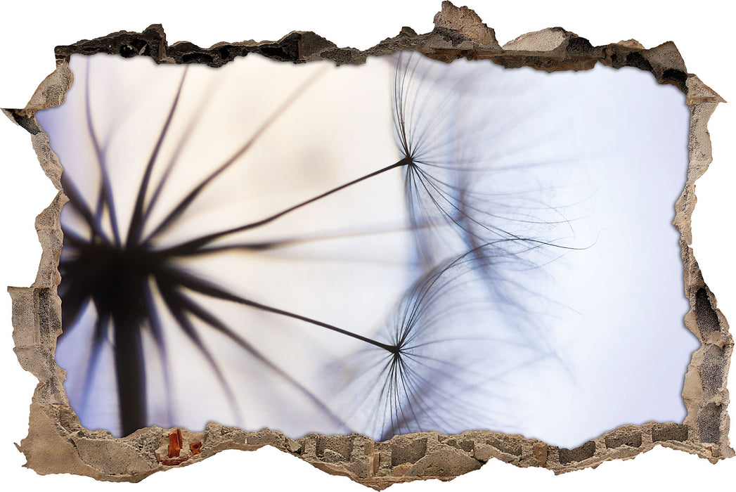 Pixxprint Weiße Pusteblumen, 3D Wandtattoo