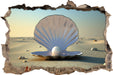 Perlenmuschel am Strand  3D Wandtattoo Wanddurchbruch