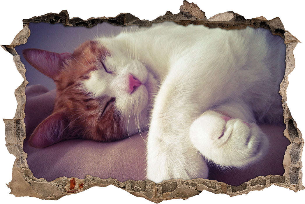 Pixxprint Katze mit Pfötchen, 3D Wandtattoo