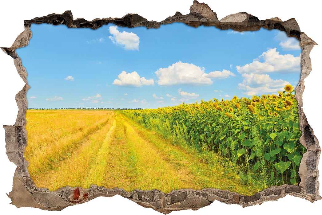 Pixxprint Feldweg am Wald, 3D Wandtattoo