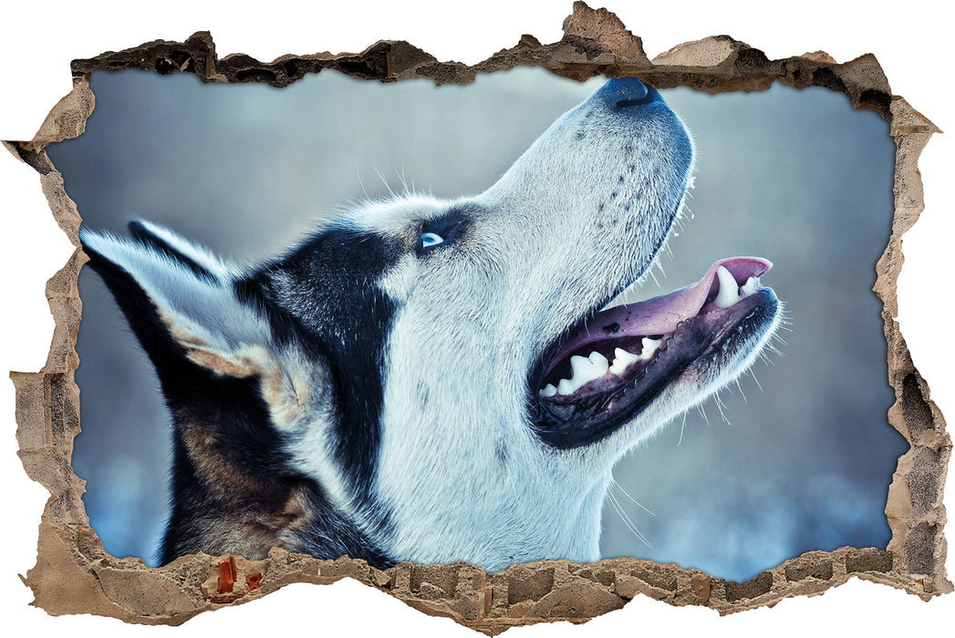 Pixxprint Husky von der Seite, 3D Wandtattoo