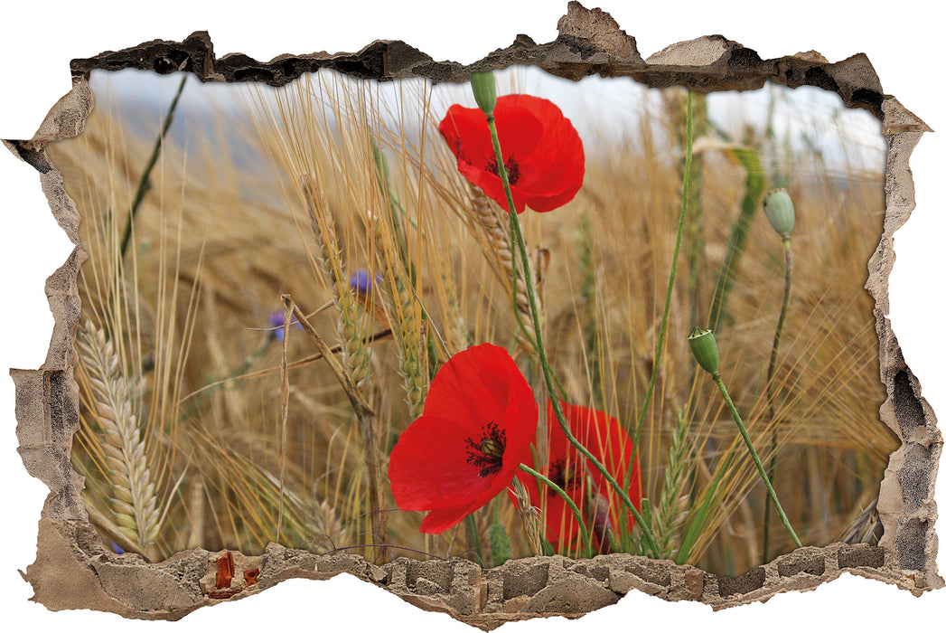 Pixxprint Mohnblumen im Getreidefeld, 3D Wandtattoo