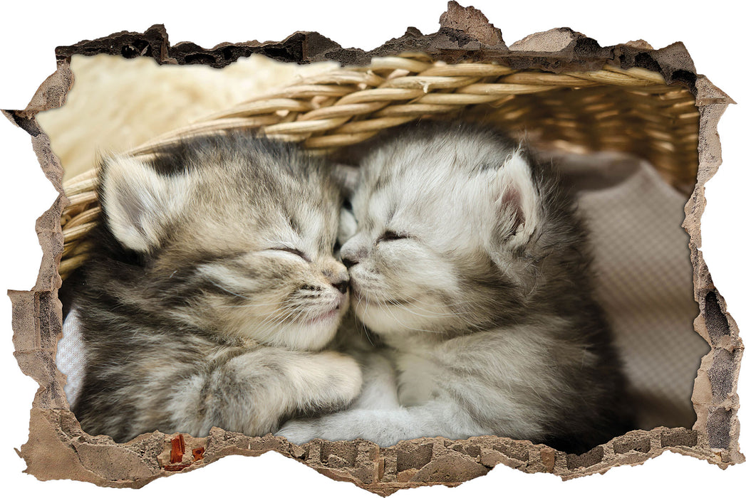 Pixxprint Baby Katze, 3D Wandtattoo