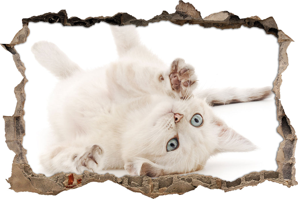 Pixxprint Kleine Katze, 3D Wandtattoo