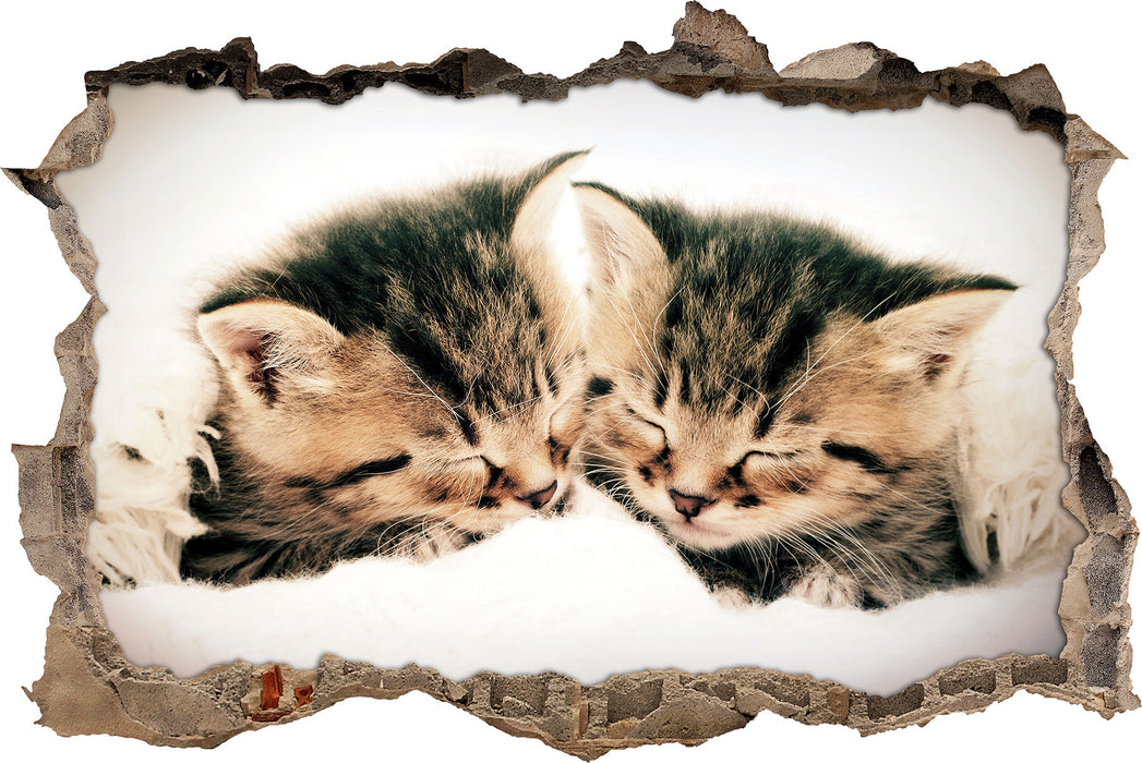 Pixxprint Katzen Herzform, 3D Wandtattoo