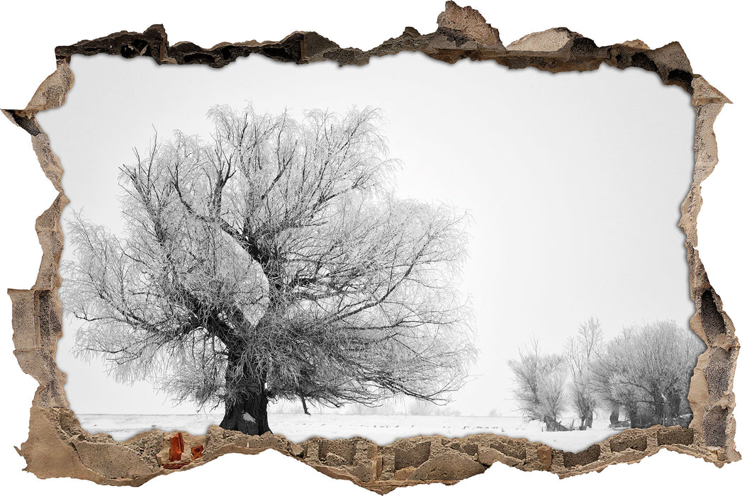 Pixxprint Bäume im Schnee Nebel, 3D Wandtattoo