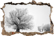 Bäume im Schnee Nebel  3D Wandtattoo Wanddurchbruch