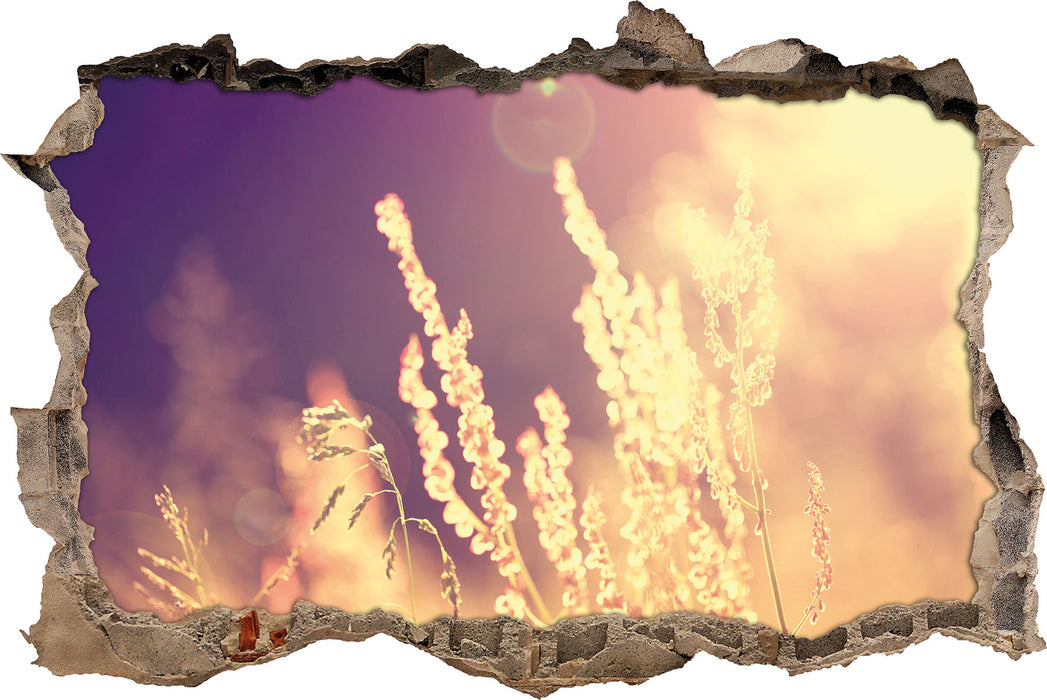 Pixxprint Gräser im Sonnenuntergang, 3D Wandtattoo