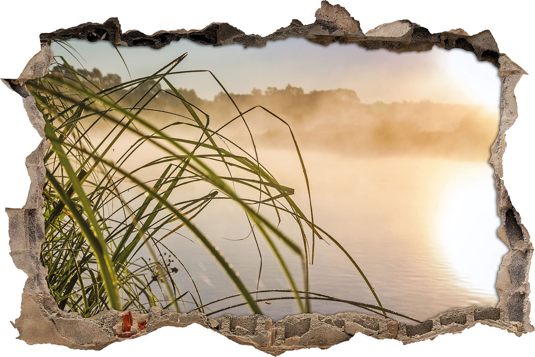 Pixxprint Schilf am See, 3D Wandtattoo