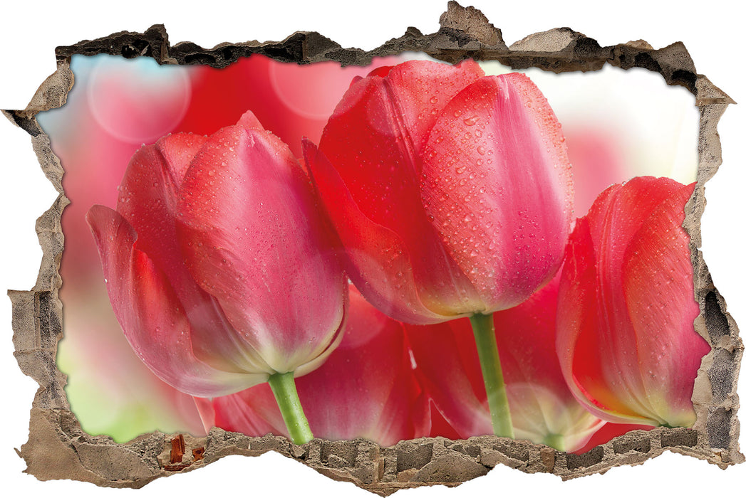 Pixxprint Rote Tulpen, 3D Wandtattoo