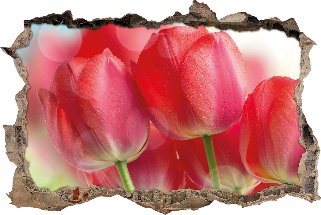 Rote Tulpen 3D Wandtattoo Wanddurchbruch