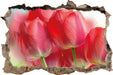 Rote Tulpen 3D Wandtattoo Wanddurchbruch