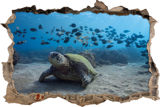 Schildkröte am Meeresboden  3D Wandtattoo Wanddurchbruch