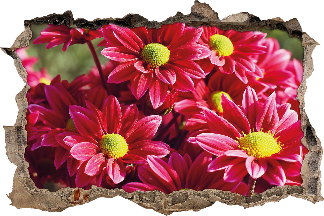 Pixxprint Rote Blüten, 3D Wandtattoo