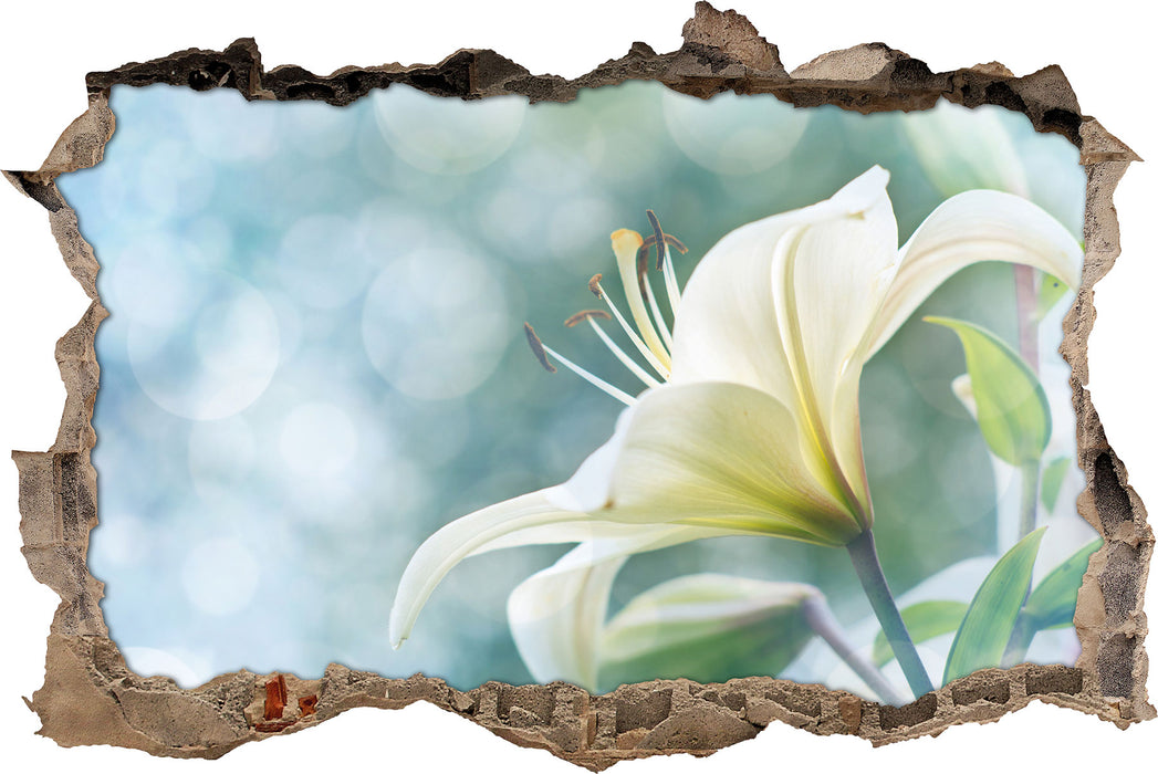 Pixxprint Wunderschöne Lilien, 3D Wandtattoo