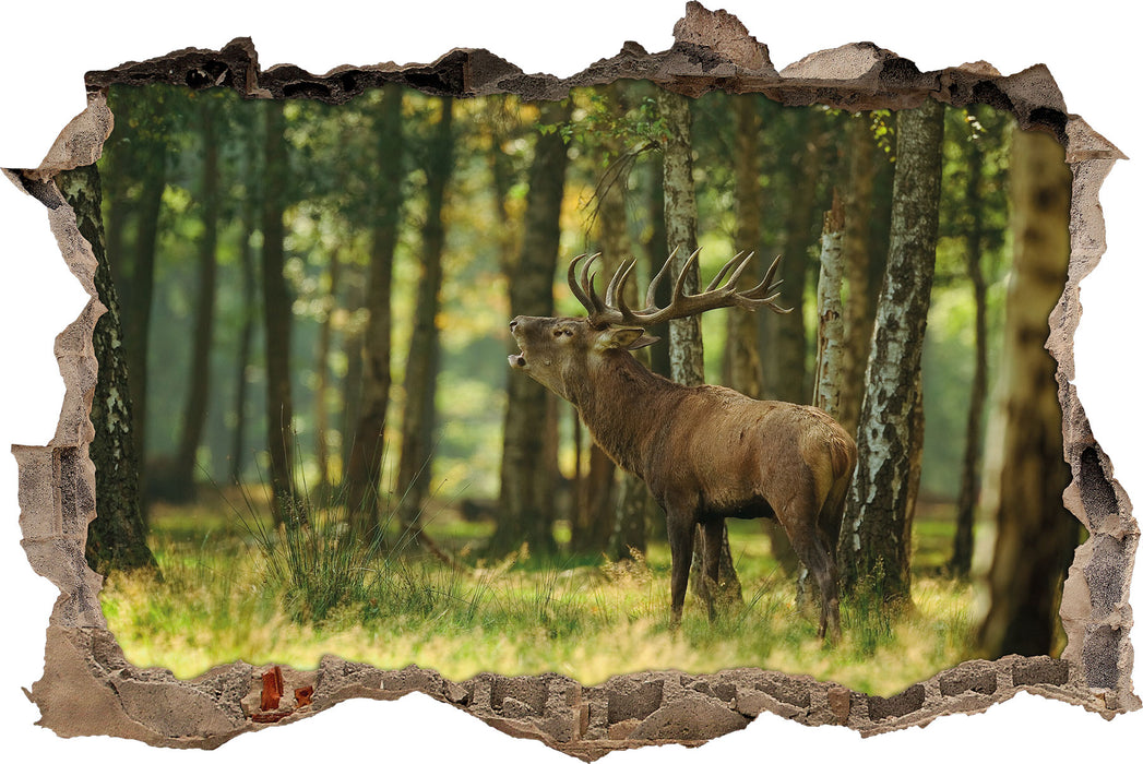 Pixxprint Hirsch im Wald, 3D Wandtattoo