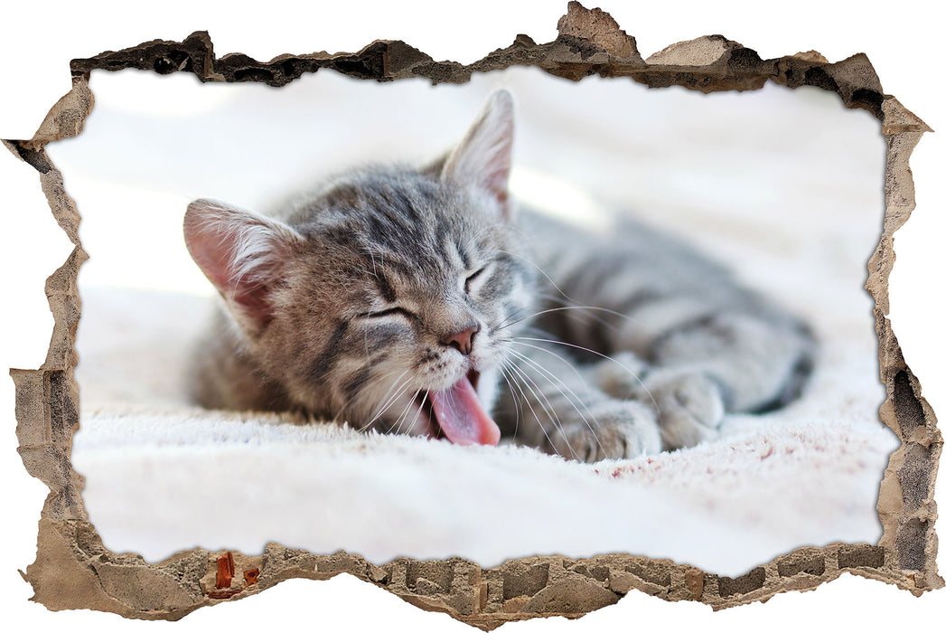 Pixxprint Kleines Kätzchen, 3D Wandtattoo