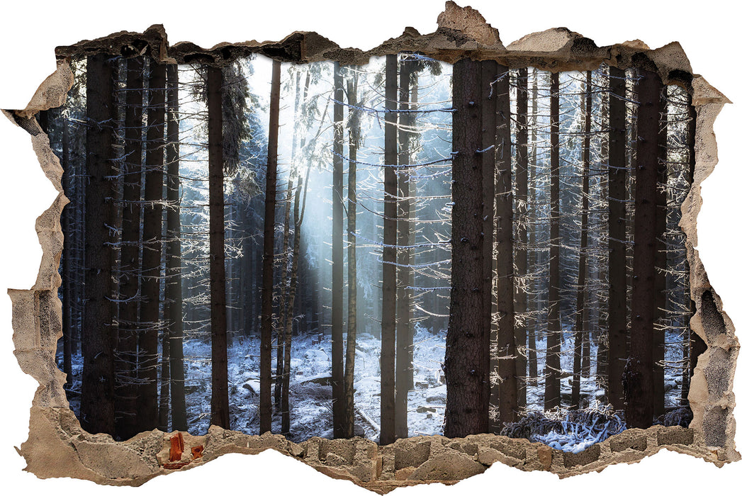 Pixxprint Winterwald, 3D Wandtattoo