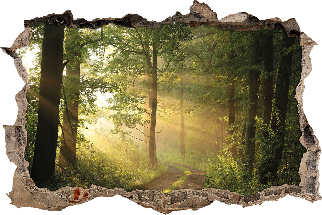 Pixxprint Waldweg, 3D Wandtattoo