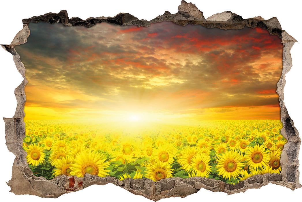 Pixxprint Sonnenblumenfeld, 3D Wandtattoo