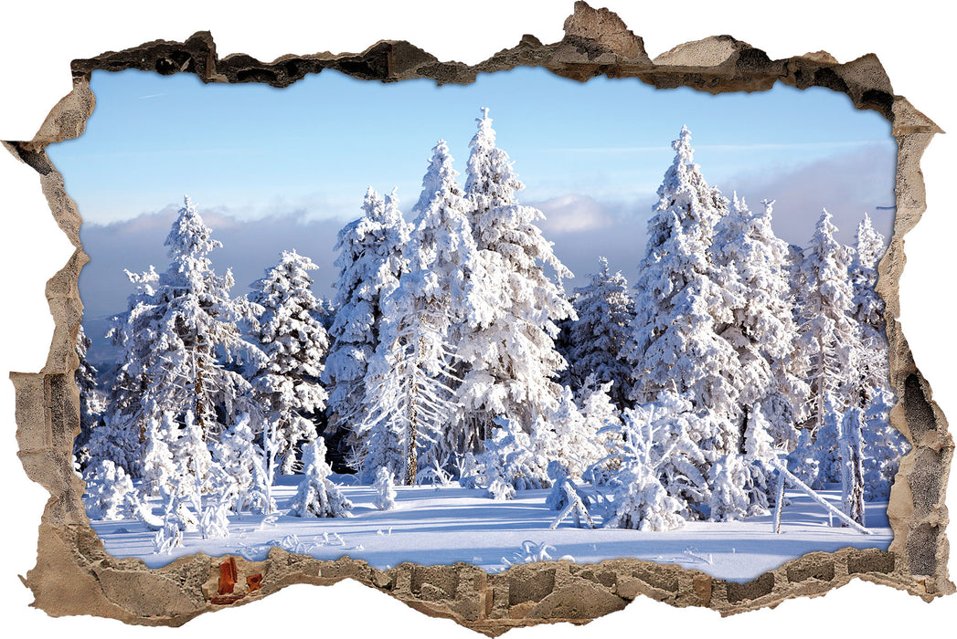Pixxprint Winterwald, 3D Wandtattoo