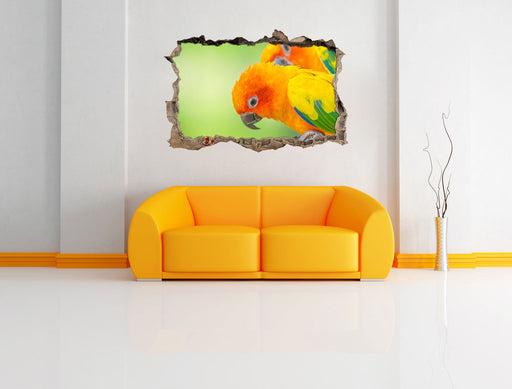 Papageienpärchen 3D Wandtattoo Wanddurchbruch Wand