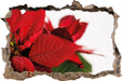 Blüte Weihnachtsstern  3D Wandtattoo Wanddurchbruch