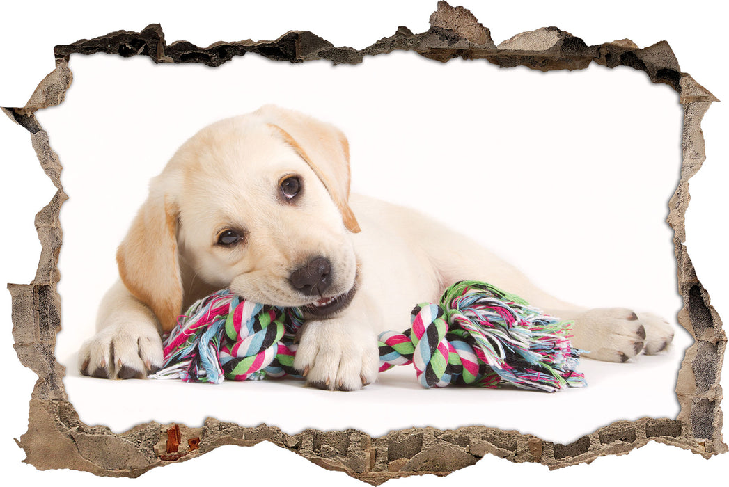 Pixxprint Hundewelpe, 3D Wandtattoo