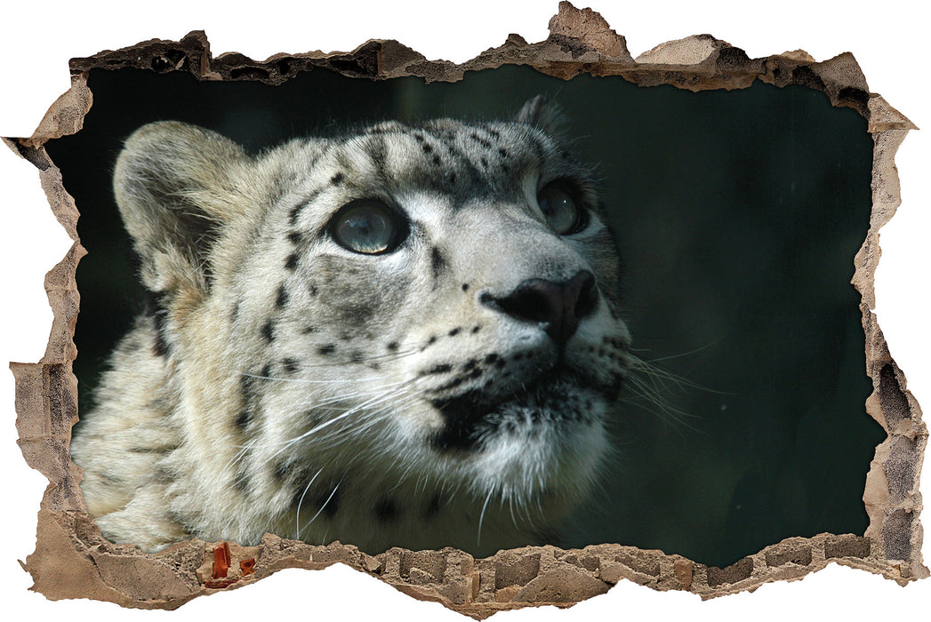 Pixxprint Leopard, 3D Wandtattoo