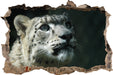 Leopard  3D Wandtattoo Wanddurchbruch
