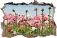 Blumenwiese Mohnblumen  3D Wandtattoo Wanddurchbruch