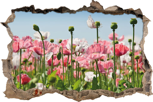 Blumenwiese Mohnblumen  3D Wandtattoo Wanddurchbruch