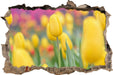 Gelbe Tulpen im Frühling  3D Wandtattoo Wanddurchbruch