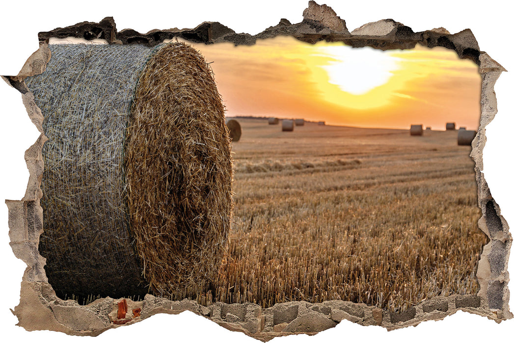 Pixxprint Strohballen auf Feld, 3D Wandtattoo