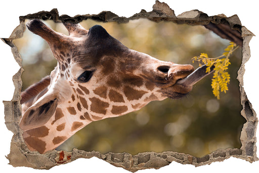 Giraffe Gesicht  3D Wandtattoo Wanddurchbruch
