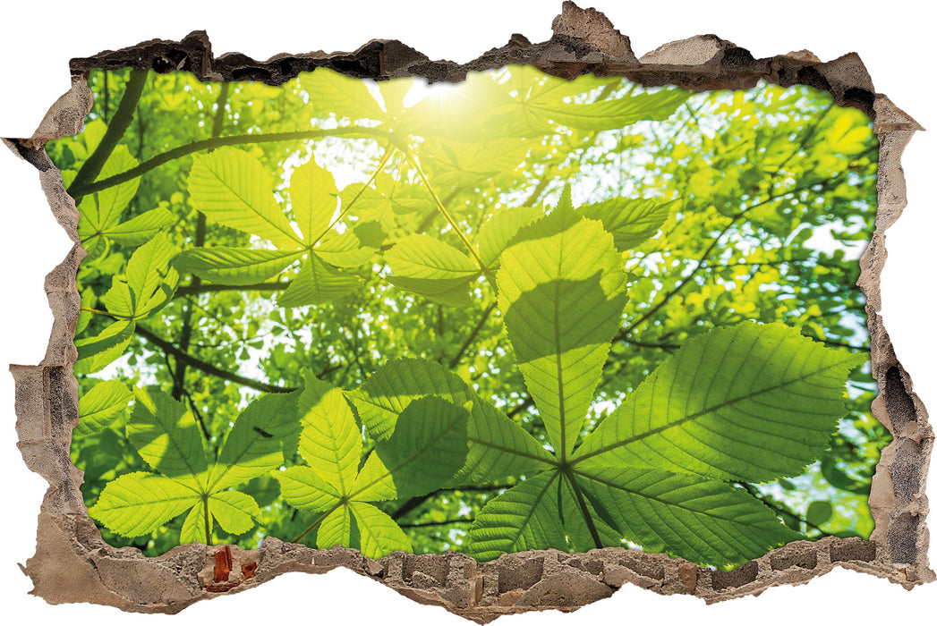 Pixxprint Grüne Blätter, 3D Wandtattoo