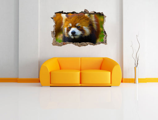 Roter Pandabär auf Ast 3D Wandtattoo Wanddurchbruch Wand