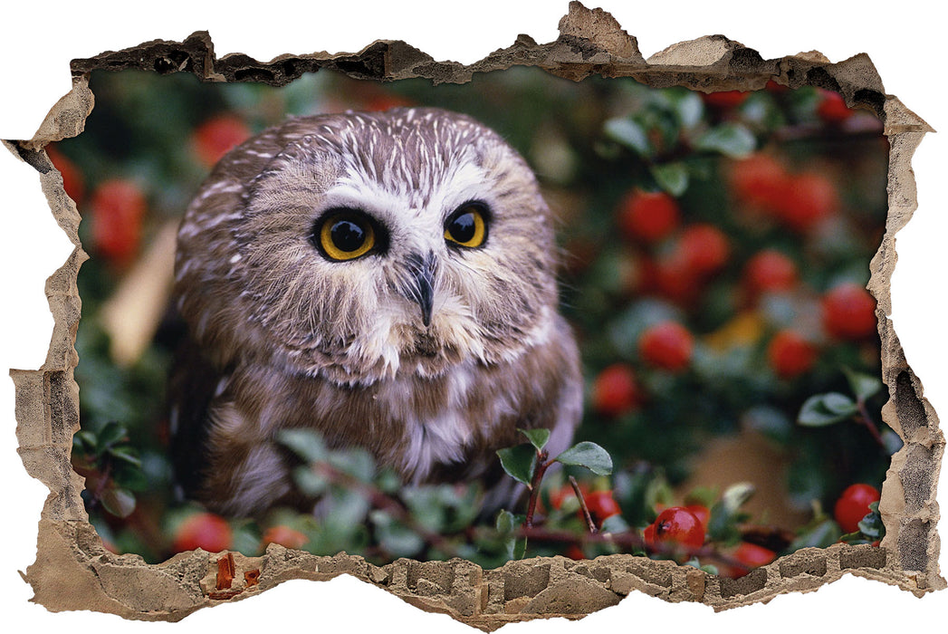 Pixxprint Eule im Vogelbeerenstrauch, 3D Wandtattoo
