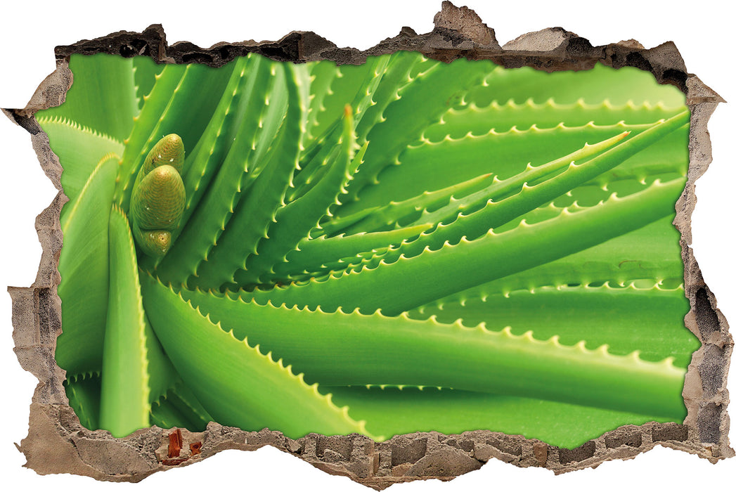 Pixxprint Aloe Vera, 3D Wandtattoo