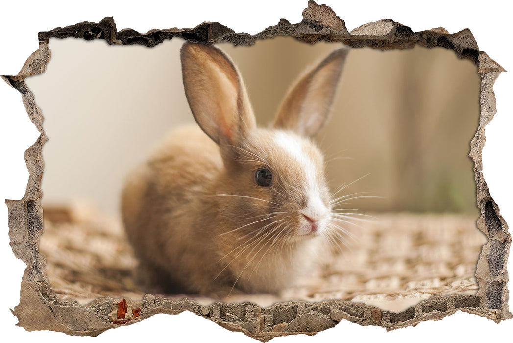 Pixxprint Süßes Kaninchen, 3D Wandtattoo