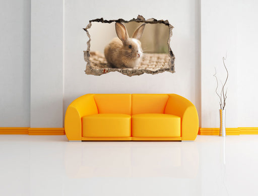 Süßes Kaninchen 3D Wandtattoo Wanddurchbruch Wand