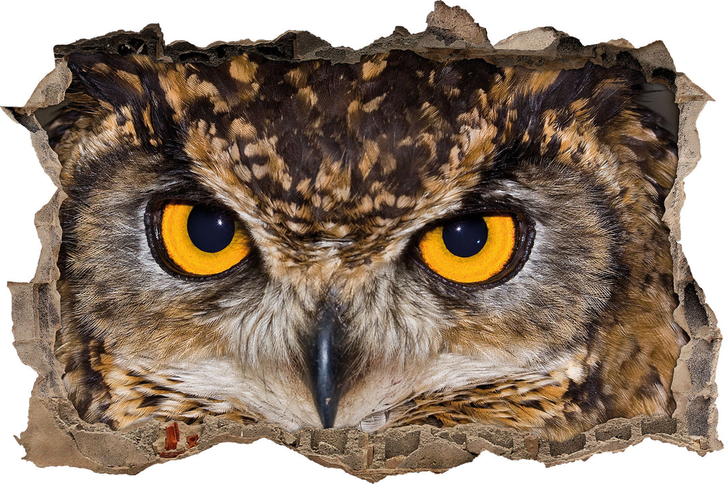 Pixxprint Eule mit gelben Augen, 3D Wandtattoo
