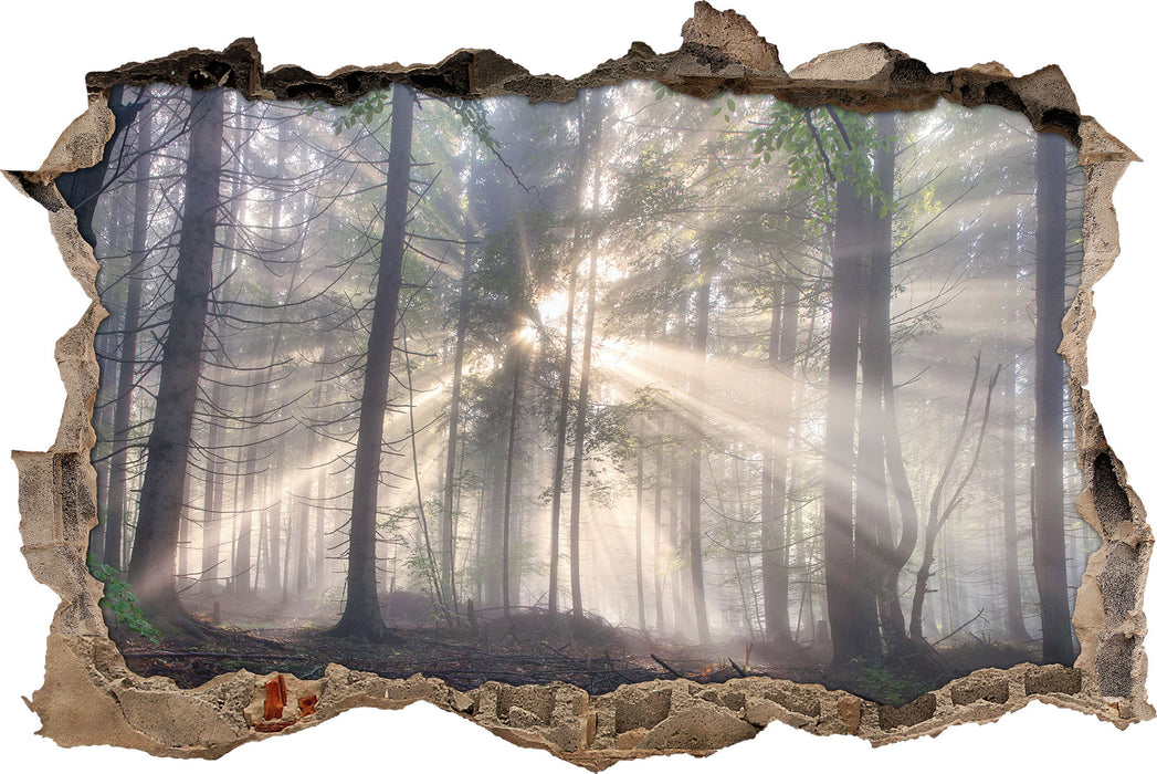 Pixxprint diesiger Waldweg, 3D Wandtattoo