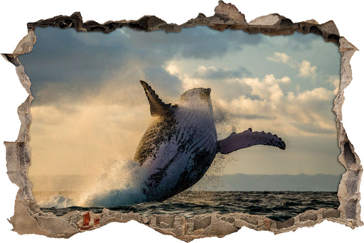 Buckelwale Kanada  3D Wandtattoo Wanddurchbruch